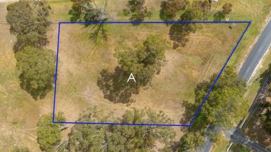 Residential Block For Sale - SA - Naracoorte - 5271 - Country vista on the edge of town  (Image 2)