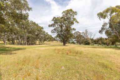 Residential Block For Sale - SA - Naracoorte - 5271 - Country vista on the edge of town  (Image 2)