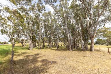 Residential Block For Sale - SA - Naracoorte - 5271 - Country vista on the edge of town  (Image 2)