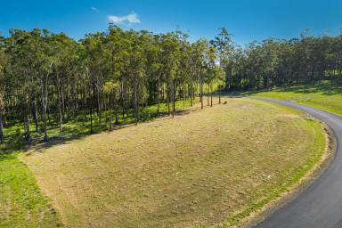 Residential Block Sold - NSW - Verges Creek - 2440 - East Edge Beauty!  (Image 2)