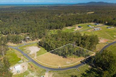 Residential Block Sold - NSW - Verges Creek - 2440 - East Edge Beauty!  (Image 2)