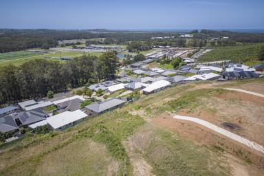 Residential Block For Sale - NSW - Coffs Harbour - 2450 - NEW PRICE / A great block with great views / potential dual occupancy.  (Image 2)