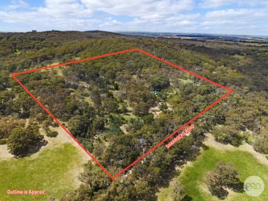 Residential Block Sold - VIC - Mount Egerton - 3352 - Unlock The Potential Of Nature: 20 Acres Of Serene Bliss Awaits You!  (Image 2)