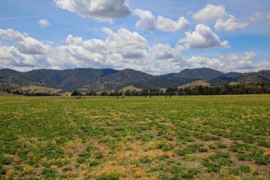 Acreage/Semi-rural For Sale - NSW - Manilla - 2346 - Combining Agriculture, Water & Natural capital  (Image 2)