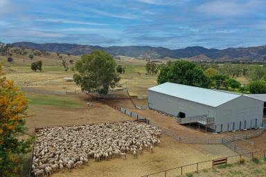 Acreage/Semi-rural For Sale - NSW - Manilla - 2346 - Combining Agriculture, Water & Natural capital  (Image 2)