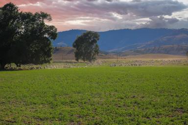 Acreage/Semi-rural For Sale - NSW - Manilla - 2346 - Revised Price guide 18/07/2025  (Image 2)