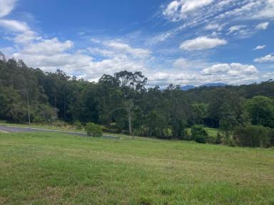 Residential Block Sold - NSW - Bellingen - 2454 - Residential block with northern views  (Image 2)