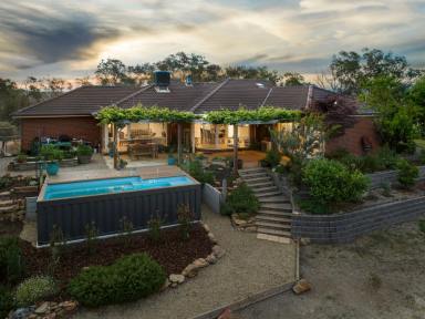 House Sold - VIC - Mandurang - 3551 - A Home with a View - Urban Convenience, Rural Serenity  (Image 2)