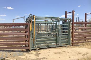 Livestock For Sale - QLD - Ilfracombe - 4727 - Excellent water, position and feed supply  (Image 2)