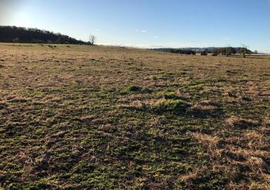 Residential Block Sold - nsw - Merriwa - 2329 - 12 Acres With Dwelling Entitlement  (Image 2)