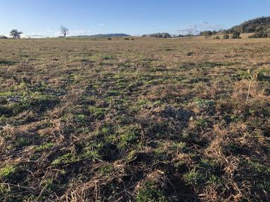 Residential Block Sold - nsw - Merriwa - 2329 - 12 Acres With Dwelling Entitlement  (Image 2)