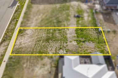 Residential Block For Sale - VIC - Winter Valley - 3358 - Titled Land, Ready For Your Home!  (Image 2)