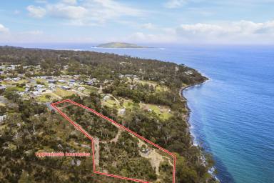 Residential Block Sold - TAS - White Beach - 7184 - Explore this exceptional seaside opportunity adjoining the Waterfront Reserve!  (Image 2)