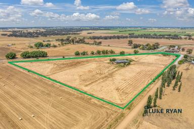 Lifestyle Sold - VIC - Kotta - 3565 - RURAL LIVING WITH SO MUCH SPACE!!  (Image 2)