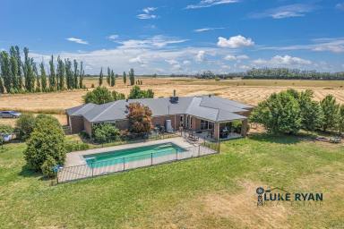 Lifestyle Sold - VIC - Kotta - 3565 - RURAL LIVING WITH SO MUCH SPACE!!  (Image 2)