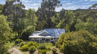 Acreage/Semi-rural For Sale - VIC - Main Ridge - 3928 - Serene Rural Oasis With Guest House  (Image 2)