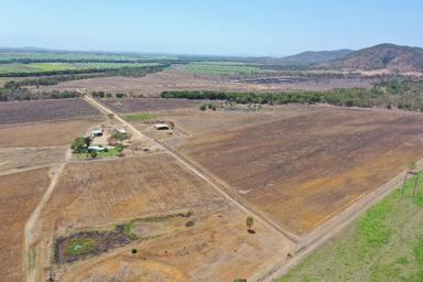 Other (Rural) For Sale - QLD - Shirbourne - 4809 - 317 Acre Cropping Property - House - Shed - Machinery - Water  (Image 2)