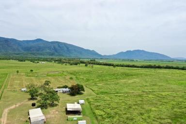 Other (Rural) For Sale - QLD - Shirbourne - 4809 - 85 Acre Cropping Property - House - Shed - Water  (Image 2)