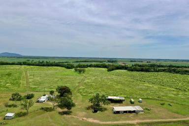 Other (Rural) For Sale - QLD - Shirbourne - 4809 - 85 Acre Cropping Property - House - Shed - Water  (Image 2)