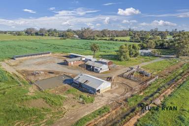 Cropping Sold - VIC - Ballendella - 3561 - IRRIGATED FARMLET  (Image 2)