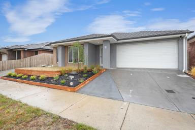 House Sold - VIC - Bonshaw - 3352 - A Distinctive Haven In The Heart Of Bonshaw  (Image 2)
