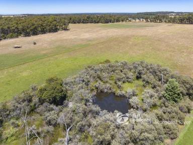 Livestock Sold - WA - Osmington - 6285 - MAGICAL FARM WITH RIVER FRONTAGE  (Image 2)