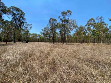 Residential Block For Sale - QLD - Millstream - 4888 - Rare Acreage Opportunity  (Image 2)