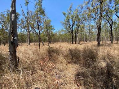 Residential Block For Sale - QLD - Millstream - 4888 - Rare Acreage Opportunity  (Image 2)