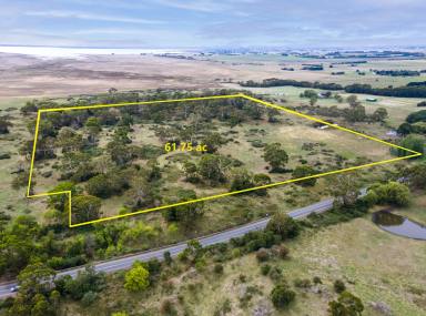 Lifestyle For Sale - VIC - Pirron Yallock - 3249 - Private & Productive Family Retreat  (Image 2)