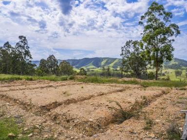 Other (Rural) For Sale - NSW - Monkerai - 2415 - Monkerai Valley Sanctuary with DA Approved 4-Bedroom Home Site  (Image 2)