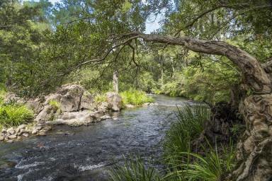 Other (Rural) Auction - NSW - Monkerai - 2415 - "Valley View " in the Enchanting Monkerai Valley  (Image 2)