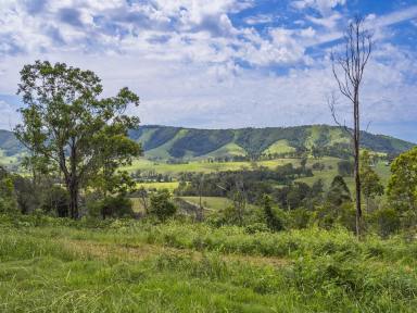 Other (Rural) For Sale - NSW - Monkerai - 2415 - Monkerai Valley Sanctuary with DA Approved 4-Bedroom Home Site  (Image 2)