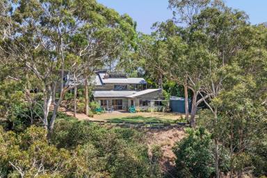 Acreage/Semi-rural For Sale - QLD - Preston - 4352 - Architecturally designed home on a Leafy 6 Acres  (Image 2)