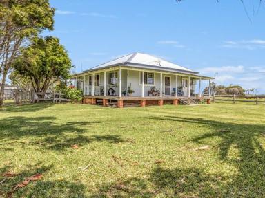 House For Sale - NSW - Jerseyville - 2431 - Peaceful Living on 4,721 sqm With River Views!  (Image 2)