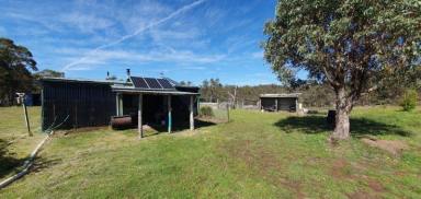 Lifestyle Sold - NSW - Delegate - 2633 - 112 Acres at Balgownie Road  (Image 2)