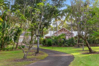 House Sold - QLD - Doonan - 4562 - Unleash Your Imagination and Bring This Fairy-Tale Property to Life  (Image 2)