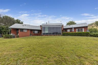 House For Sale - NSW - Tumut - 2720 - True Countryside Retreat with River Frontage  (Image 2)
