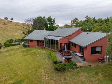House For Sale - NSW - Tumut - 2720 - True Countryside Retreat with River Frontage  (Image 2)