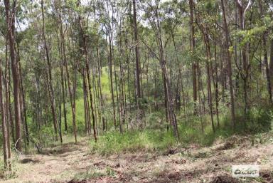 Residential Block Sold - QLD - Summerholm - 4341 - 39 Acres of Bushland Bliss
UNDER CONTRACT  (Image 2)