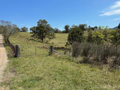Lifestyle Sold - NSW - Singleton - 2330 - Reedy Creek Acreage  (Image 2)