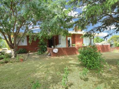 House Sold - NSW - Young - 2594 - Spacious Home In An Elevated Location  (Image 2)