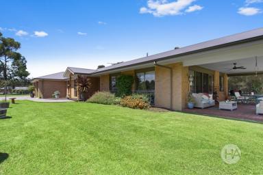 Acreage/Semi-rural Sold - VIC - Bittern - 3918 - The Ultimate Family Retreat Minutes From The Balnarring Village  (Image 2)