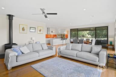 Acreage/Semi-rural Sold - VIC - Bittern - 3918 - The Ultimate Family Retreat Minutes From The Balnarring Village  (Image 2)
