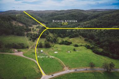 Residential Block For Sale - NSW - Seaham - 2324 - For the Nature Lover!  (Image 2)