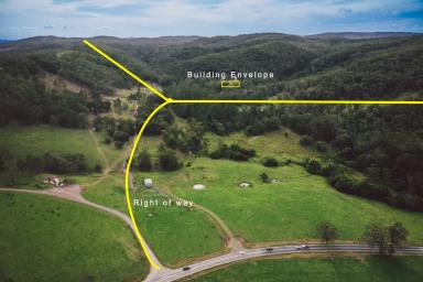 Residential Block Sold - NSW - Seaham - 2324 - For the Nature Lover!  (Image 2)