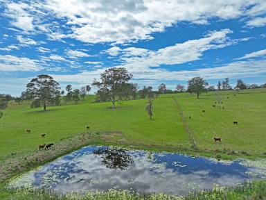 Acreage/Semi-rural For Sale - NSW - Hillville - 2430 - All the bells and whistles. Open For Inspection 27th April 2024
12 - 12:30pm Call To Confirm.  (Image 2)