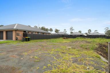 Residential Block For Sale - NSW - Karuah - 2324 - SEIZE THE OPPORTUNITY IN KARUAH TO BUILD YOUR DREAM HOME!  (Image 2)