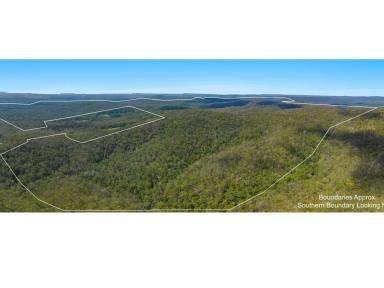 Other (Rural) For Sale - NSW - New Italy - 2472 - A Sizeable Holding  (Image 2)