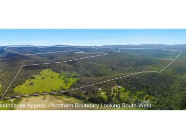 Other (Rural) For Sale - NSW - New Italy - 2472 - A Sizeable Holding  (Image 2)