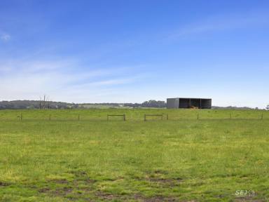 Other (Rural) For Sale - VIC - Inverloch - 3996 - GREAT LOCATION - QUALITY GRAZING!  (Image 2)